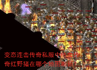 ��̬��������˽������Ѫ�����Ұ�����ĸ���ͼˢ�£�