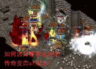 ���ѡ�����ʺ���Ĵ����̬sf�汾��