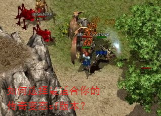 ���ѡ�����ʺ���Ĵ����̬sf�汾��