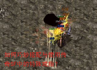 如何巧妙搭配与使用传奇SF中的特殊戒指? 如何巧妙搭配与使用传奇SF中的特殊戒指?