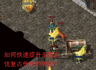 如何快速提升杀戮忘忧复古传奇的等级? 如何快速提升杀戮忘忧复古传奇的等级?