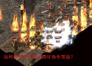 如何快速提升新传奇SF角色等级? 如何快速提升新传奇SF角色等级?
