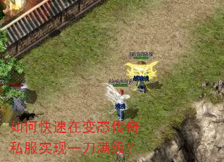 如何快速在变态传奇私服实现一刀满级? 如何快速在变态传奇私服实现一刀满级?