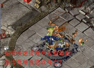 如何快速提升带宠物单职业传奇角色的战斗力? 如何快速提升带宠物单职业传奇角色的战斗力?