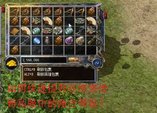 如何快速提升在悠悠传奇私服中的角色等级? 如何快速提升在悠悠传奇私服中的角色等级?