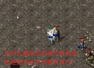 ����ڳ����̬�洫��˽����������ս���뱬װ���ɣ�