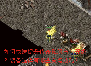 如何快速提升传奇私服角色等级?装备选择有哪些关键技巧? 如何快速提升传奇私服角色等级?装备选择有哪些关键技巧?