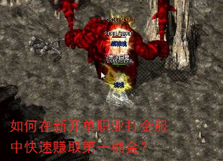 如何在新开单职业打金服中快速赚取第一桶金? 如何在新开单职业打金服中快速赚取第一桶金?