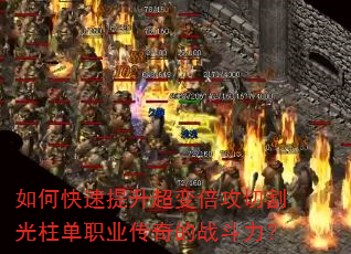 ��ο����������䱶���и������ְҵ�����ս������