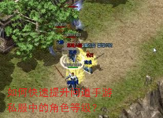 如何快速提升问道手游私服中的角色等级? 如何快速提升问道手游私服中的角色等级?