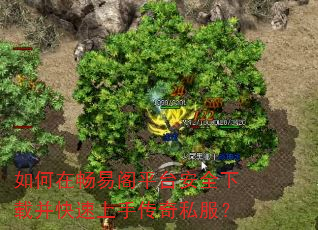 如何在畅易阁平台安全下载并快速上手传奇私服? 如何在畅易阁平台安全下载并快速上手传奇私服?