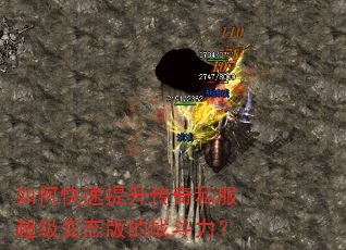 如何快速提升传奇私服超级变态版的战斗力? 如何快速提升传奇私服超级变态版的战斗力?