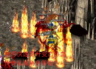 ��ο���������̬��Ѫ����˽����ɫ�ȼ���