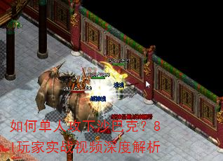 ��ε��˹���ɳ�Ϳˣ�8l���ʵս��Ƶ��Ƚ���