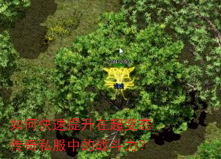 如何快速提升在超变态传奇私服中的战斗力? 如何快速提升在超变态传奇私服中的战斗力?