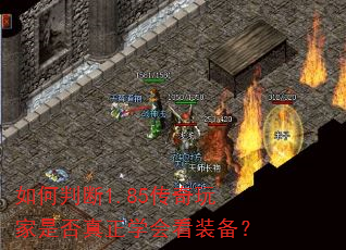 如何判断1.85传奇玩家是否真正学会看装备? 如何判断1.85传奇玩家是否真正学会看装备?