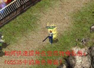 如何快速提升在变态传奇私服sf65535中的角色等级? 如何快速提升在变态传奇私服sf65535中的角色等级?