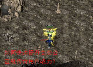 如何快速提升变态公益服传奇角色战力? 如何快速提升变态公益服传奇角色战力?