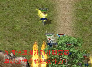 如何快速提升新开超变态单职业传奇私服战斗力? 如何快速提升新开超变态单职业传奇私服战斗力?