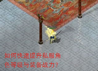 如何快速提升私服角色等级与装备战力? 如何快速提升私服角色等级与装备战力?