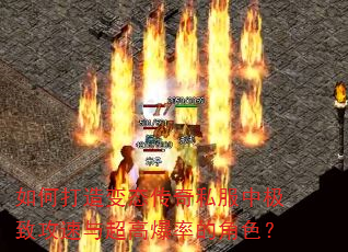 ��δ����̬����˽���м��¹����볬�߱��ʵĽ�ɫ��