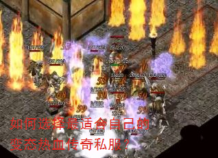 ���ѡ�����ʺ��Լ��ı�̬��Ѫ����˽����
