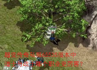 超变传奇私服65535版本中道士与战士哪个职业更厉害? 超变传奇私服65535版本中道士与战士哪个职业更厉害?