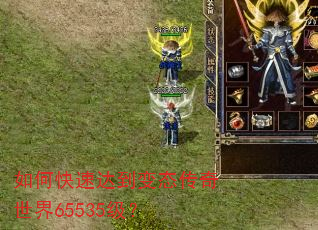 如何快速达到变态传奇世界65535级? 如何快速达到变态传奇世界65535级?