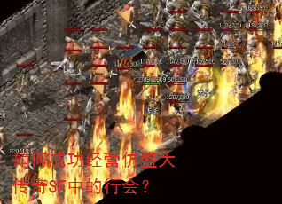 如何成功经营仿盛大传奇SF中的行会? 如何成功经营仿盛大传奇SF中的行会?