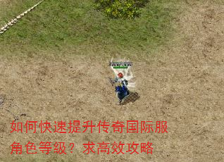 如何快速提升传奇国际服角色等级?求高效攻略 如何快速提升传奇国际服角色等级?求高效攻略