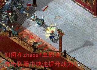 如何在zhaosf单职业传奇私服中快速提升战力? 如何在zhaosf单职业传奇私服中快速提升战力?