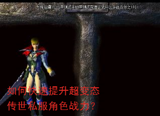 如何快速提升超变态传世私服角色战力? 如何快速提升超变态传世私服角色战力?