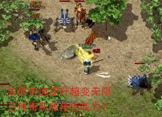 如何快速提升超变无限刀传奇私服角色战力? 如何快速提升超变无限刀传奇私服角色战力?