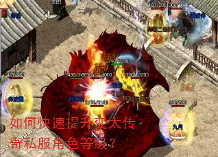 如何快速提升变太传奇私服角色等级? 如何快速提升变太传奇私服角色等级?