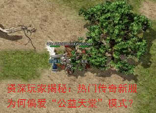 资深玩家揭秘:热门传奇新服为何偏爱“公益天堂”模式? 资深玩家揭秘:热门传奇新服为何偏爱“公益天堂”模式?