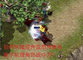 如何快速提升变态传奇私服手机版角色战斗力? 如何快速提升变态传奇私服手机版角色战斗力?