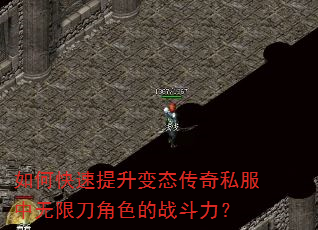 如何快速提升变态传奇私服中无限刀角色的战斗力? 如何快速提升变态传奇私服中无限刀角色的战斗力?