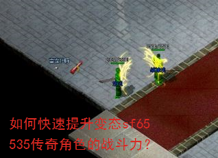 ��ο���������̬sf65535�����ɫ��ս������