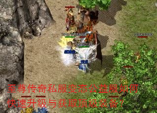 至尊传奇私服变态公益服如何快速升级与获取顶级装备? 至尊传奇私服变态公益服如何快速升级与获取顶级装备?