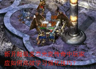 新开超级变态光变传奇中玩家应如何高效学习强化技巧? 新开超级变态光变传奇中玩家应如何高效学习强化技巧?