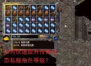 如何快速提升传奇变态私服角色等级? 如何快速提升传奇变态私服角色等级?