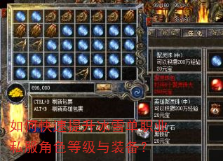 如何快速提升冰雪单职业私服角色等级与装备? 如何快速提升冰雪单职业私服角色等级与装备?
