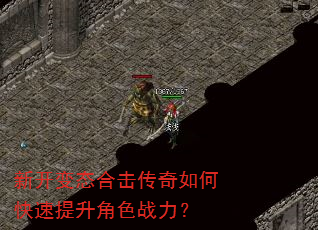 新开变态合击传奇如何快速提升角色战力? 新开变态合击传奇如何快速提升角色战力?