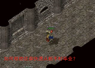 如何帮助徒弟快速从新手村毕业? 如何帮助徒弟快速从新手村毕业?