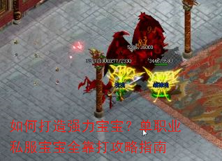如何打造强力宝宝?单职业私服宝宝全靠打攻略指南 如何打造强力宝宝?单职业私服宝宝全靠打攻略指南