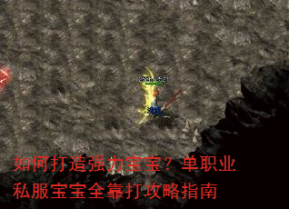 如何打造强力宝宝?单职业私服宝宝全靠打攻略指南 如何打造强力宝宝?单职业私服宝宝全靠打攻略指南