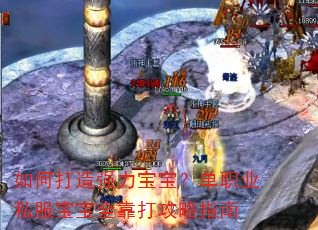 如何打造强力宝宝?单职业私服宝宝全靠打攻略指南 如何打造强力宝宝?单职业私服宝宝全靠打攻略指南
