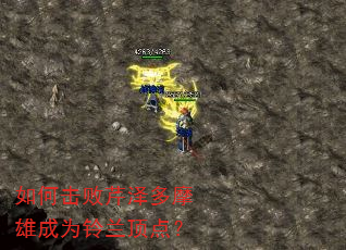 如何击败芹泽多摩雄成为铃兰顶点? 如何击败芹泽多摩雄成为铃兰顶点?